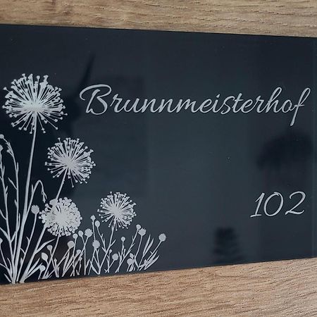 Apartments Brunnmeisterhof Залцбург Екстериор снимка